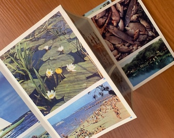 1968 Belorussian Landscape Photo Book: Vintage Soviet Travel Guide