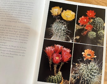 1967 Cactus German Vintage Home Plant Books Freude mit Kakteen DDR 1980 hobby gardening