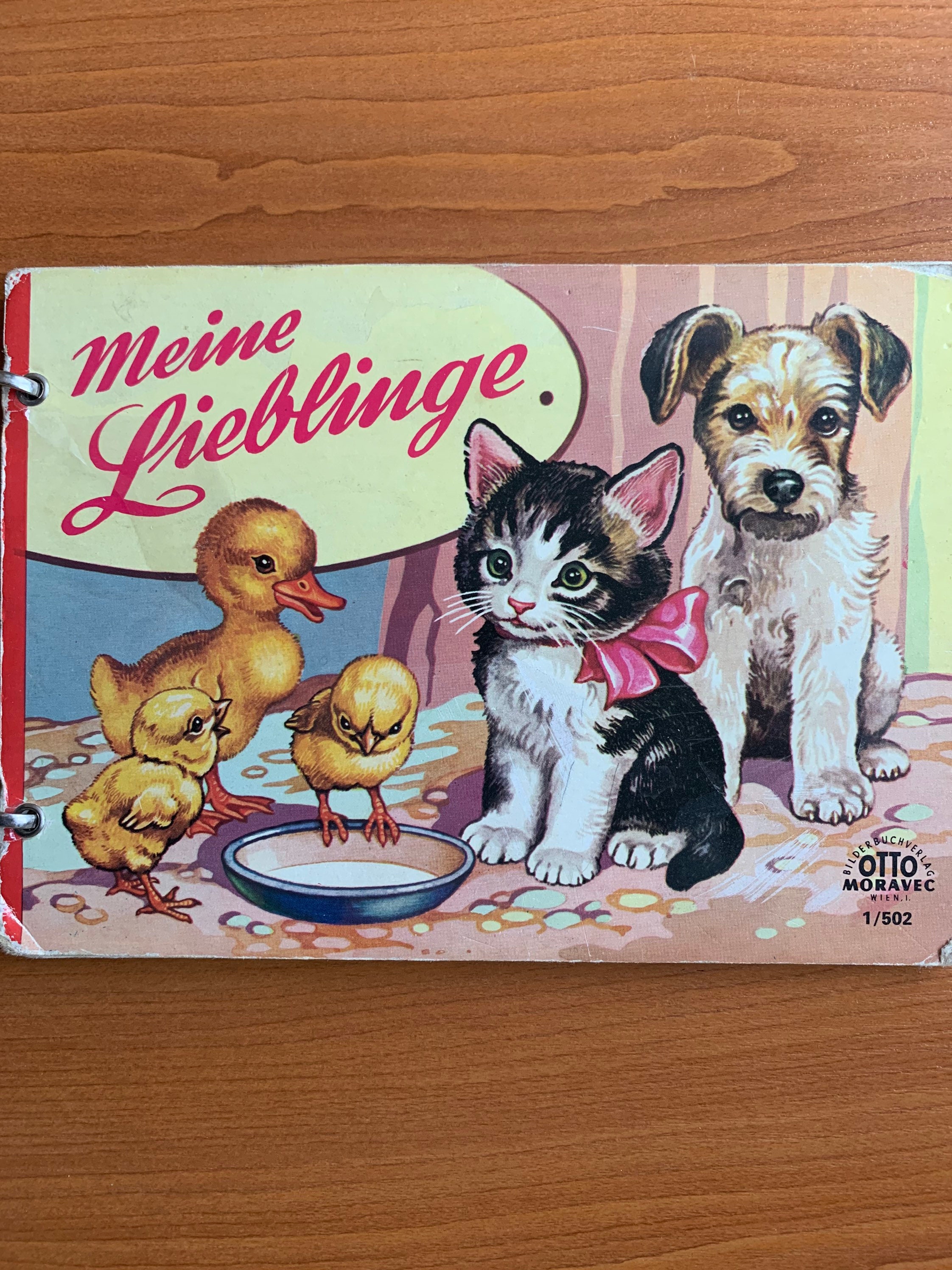 1960s German Children Book Cardboard East Germany Kindergarten Animals  Education Funny Pictures Vintage Retro GDR 