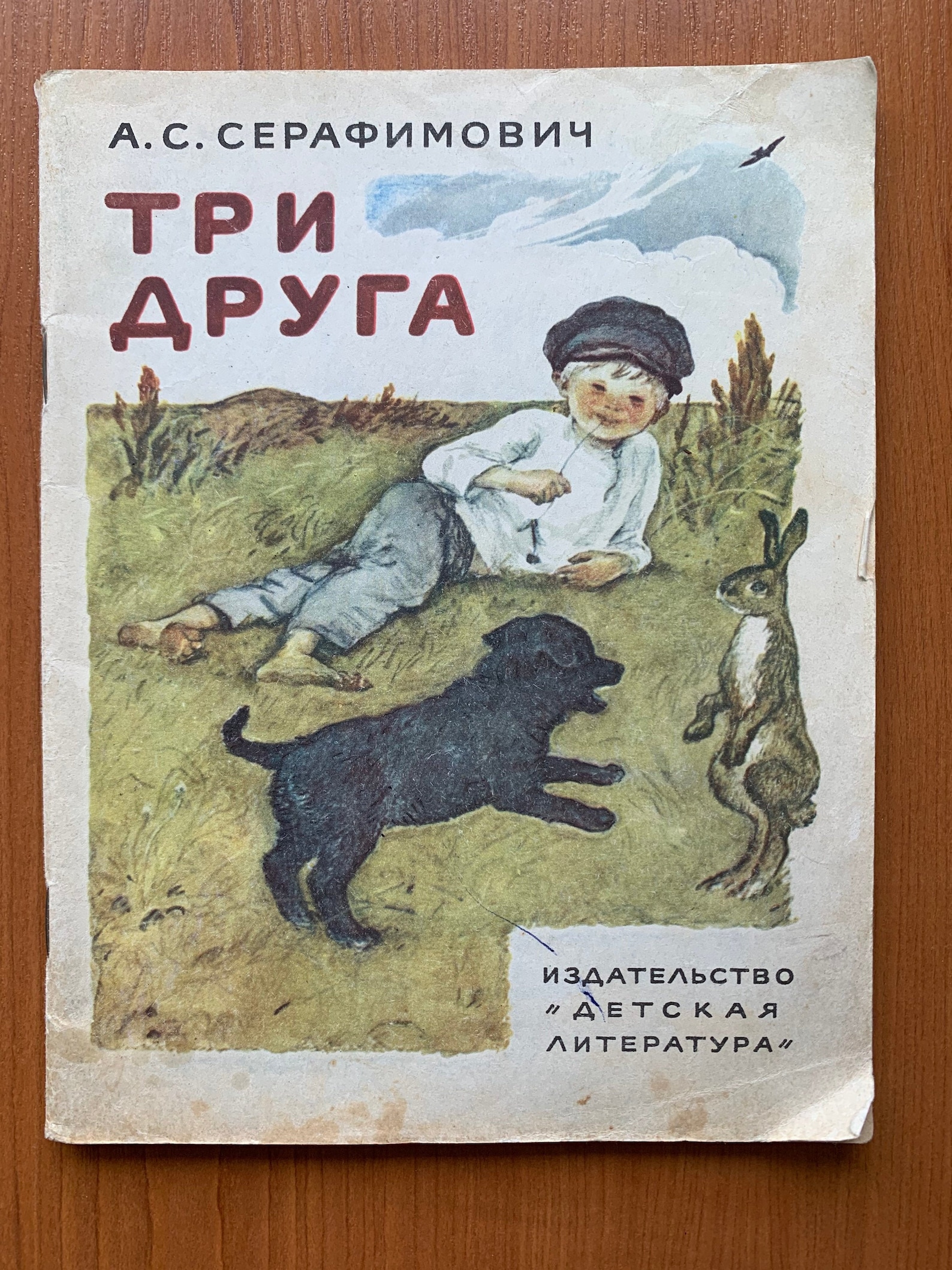 Книга Серафимович 1911 Год Простая Жизнь Купить