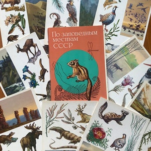 1977 Ensemble de 16 cartes postales de peintures de zones naturelles protégées de l'ex-URSS, histoire vintage de l'URSS, science de la nature, époque soviétique, dessins d'animaux