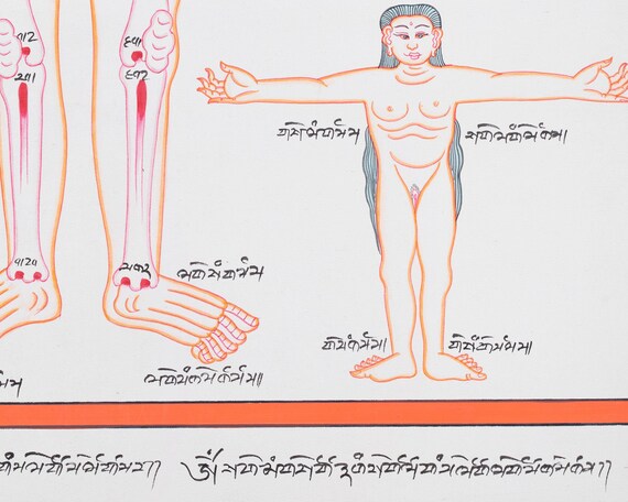 チベット医学の解剖図、ヴィンテージ仏教美術、伝統的な治癒システムの
