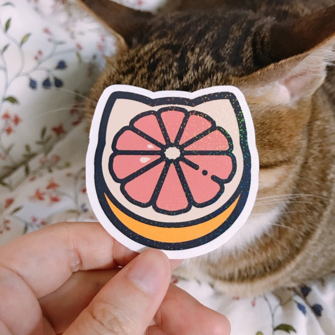 Grapefruit Cat Holographic Gloss Sticker | Etsy