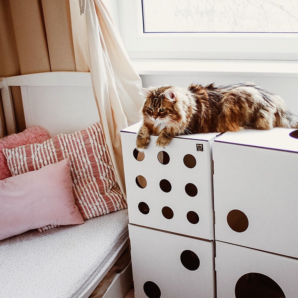 Cartón 3 modular gato casa / caja muebles cueva fortaleza | Etsy