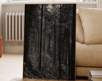 Impressão artística fotográfica em preto e branco de uma floresta escura e atmosférica.