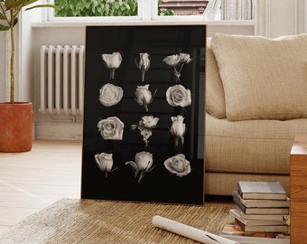 Black and White Roses Fine Art Photography