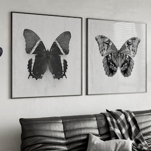 Set of 2 Black and White Butterfly Digital Art Prints