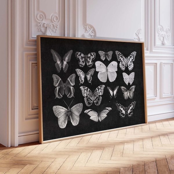Black and White Butterflies Digital Print