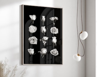 Black and White Rose Photography