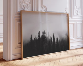 Dark Foggy Forest Photographic Art Print