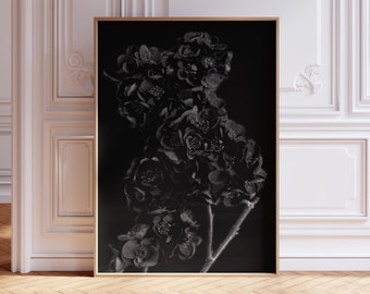 Dark Floral Gothic Botanical Poster