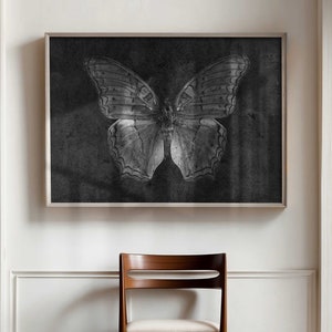 Gothic Butterfly Photographic Digital Art Print