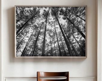 Impression d'art numérique forêt photographique noir et blanc
