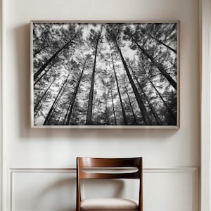 Black and White Photographic Forest Digital Art Print