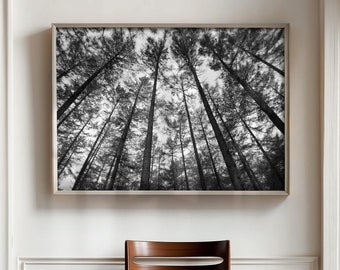 Cool Black and White Photographic Forest Print