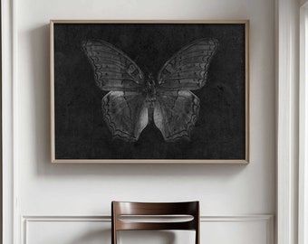 Gothic Butterfly Photographic Art Print - Unique Decor