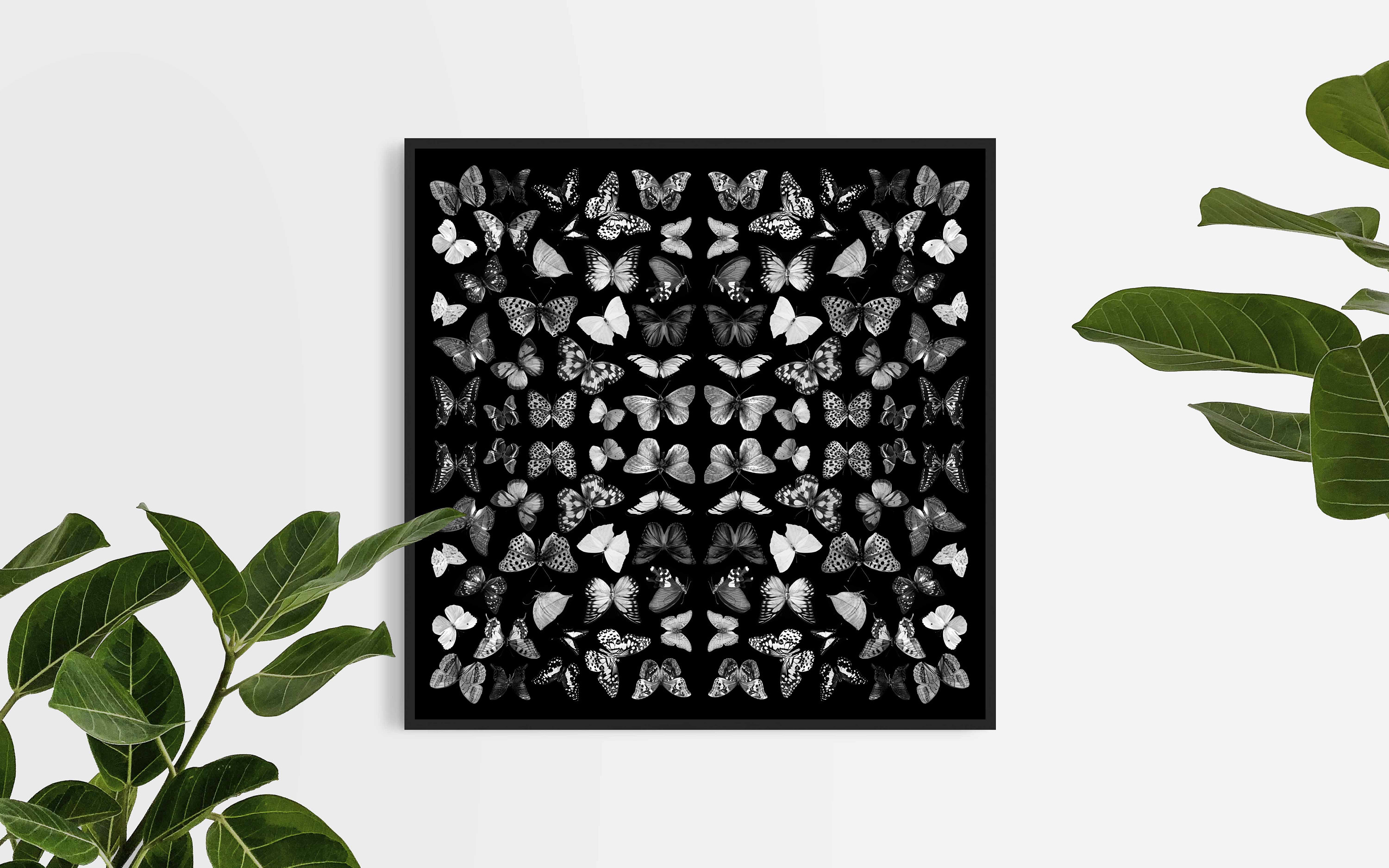 Printable Black & White Butterfly Art Print Butterfly Decor Etsy