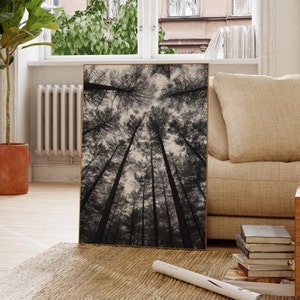 Dark Black and White Forest Digital Art Print