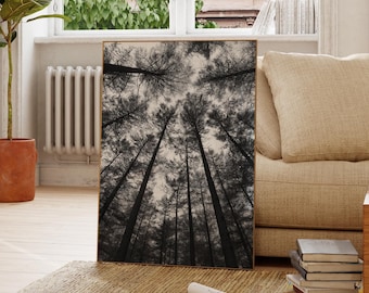 Impression d'art numérique forêt noir et blanc foncé