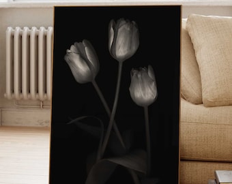 Black and White Tulip Wall Art Print - Moody Floral Photography