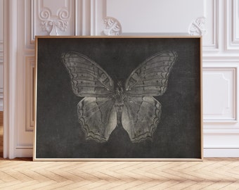 Dark Butterfly Photographic Wall Art Print