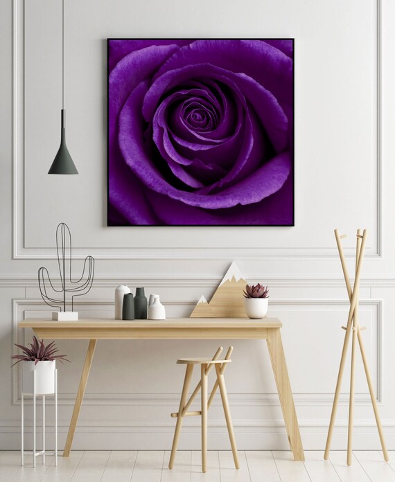 Floral Purple Rose Wall Art Picture Print Home Square Print Etsy