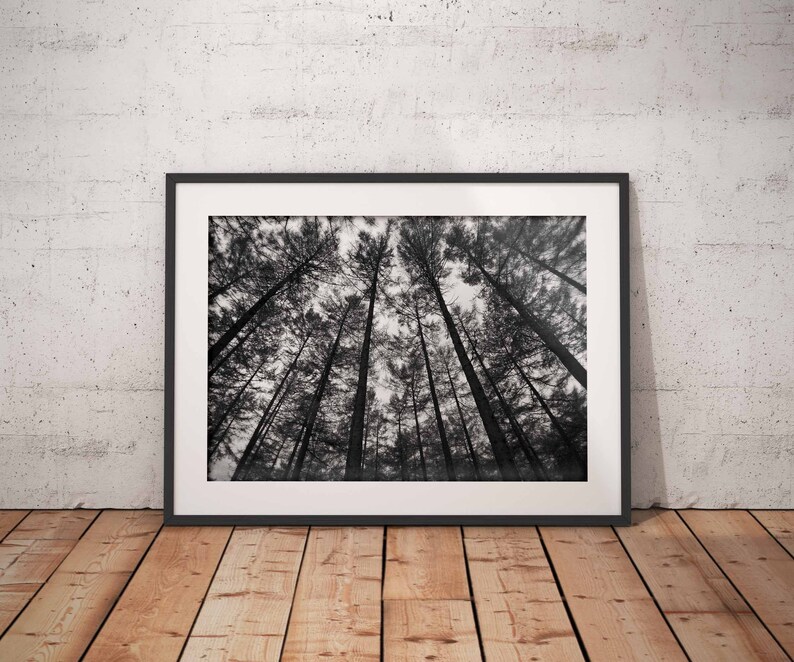 Black and White Tree Print Forest Wall Art Dark Art Etsy