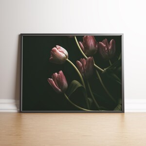 May include: A framed photograph of a bouquet of pink tulips against a dark background. The tulips are arranged in a cluster, with their stems extending upwards and outwards. The image is in a minimalist style, with a focus on the flowers and their delicate beauty.