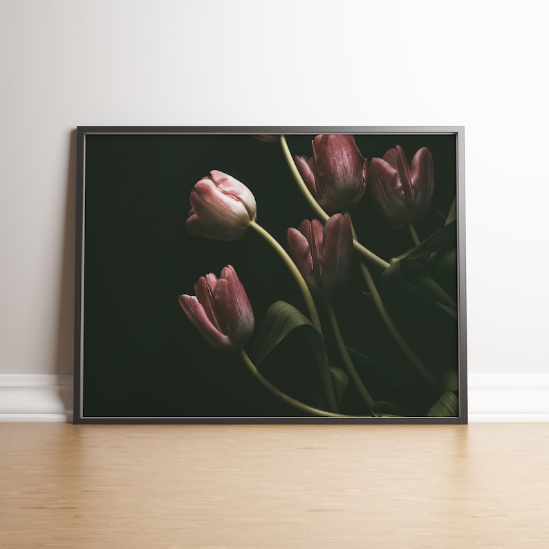 May include: A framed photograph of a bouquet of pink tulips against a dark background. The tulips are arranged in a cluster, with their stems extending upwards and outwards. The image is in a minimalist style, with a focus on the flowers and their delicate beauty.