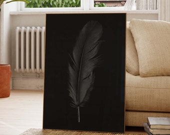 Black and White Feather Art - Fine Art Photographic Print