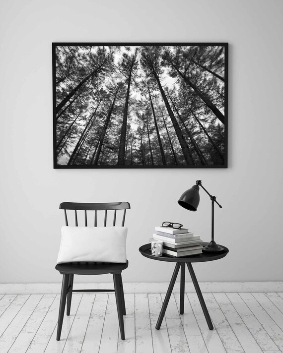 Black and White Landscape Wall Art Forest Print Large Etsy