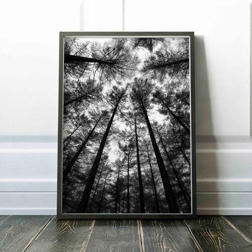 Landscape Print Forest Wall Art Black and White Printable Etsy