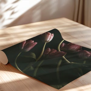 Dark Moody Tulip Wall Art - Fine Art Floral Photography Print image 9