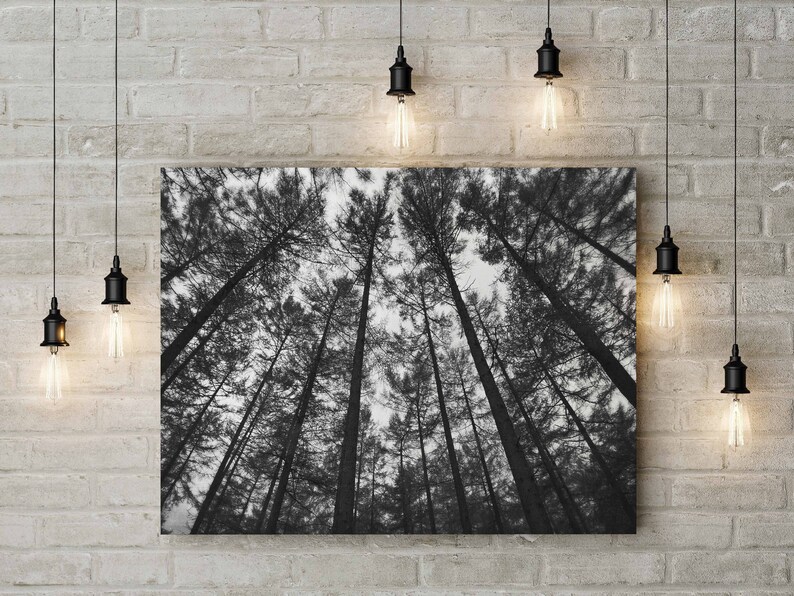 Black and White Tree Print Forest Wall Art Dark Art Etsy