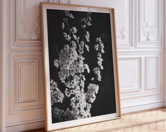 Black and White Cherry Blossom Photographic Digital Print