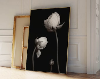 Modern Photographic Print - Black and White Floral Art