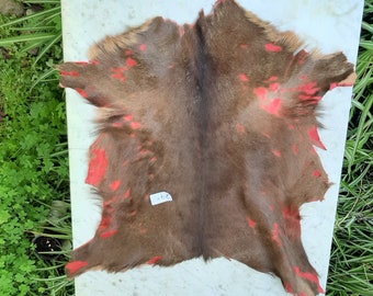 Hip colored fur from a buck | Red and Brown