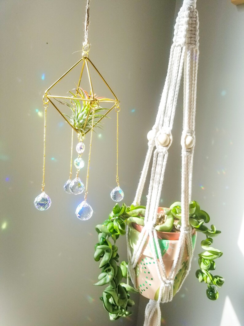 Gold Air Plant Hanger and Suncatcher Crystal Air Plant Etsy
