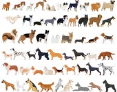 Dog Clipart Bundle - Hand Drawn AKC Dog Breeds - Small, Medium and Large, Toy, Hunting, Terriers, Family Pets, Herding, Sight Scent Hounds