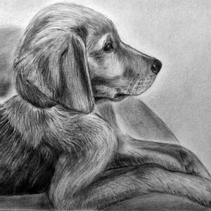 Personalized Pet Portrait, Memory of Your Beloved Pet with a Custom Pet Memorial Portrait, Transform Your Furry Friend's Photo into Art