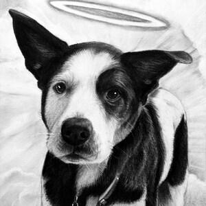 Ilustración de retrato de mascota conmemorativo personalizado, dibujo a mano de mascota, foto de animal para pintar, recuerdo de mascotas, regalo sentimental para amantes de las mascotas