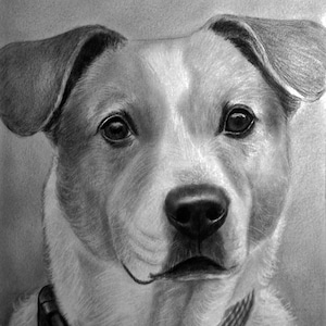 Retrato de mascota, retrato de perro personalizado a partir de una foto, retrato de familia de mascotas, retratos de animales domésticos, obsequio conmemorativo para mascotas, pérdida de una mascota con su dueño