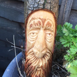 Woodspirit carving image 7