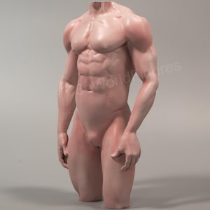 Male Torso Sculpture – Anatomical Figure – Realistic Body Model – Art Mannequin – Human Figure Statue – Muscular Torso – 3D Printed Sculptur