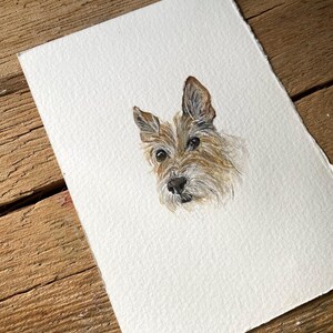 Mini Pet Portrait image 5