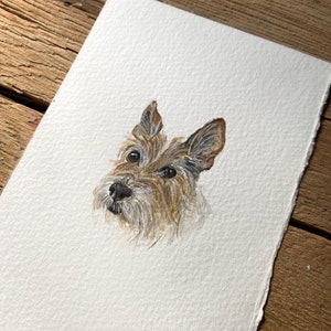 Mini Pet Portrait image 6