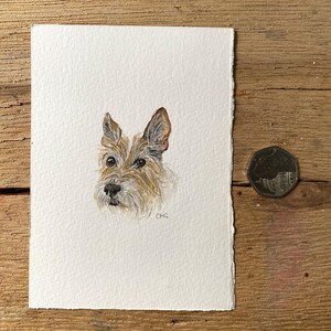 Mini Pet Portrait image 2