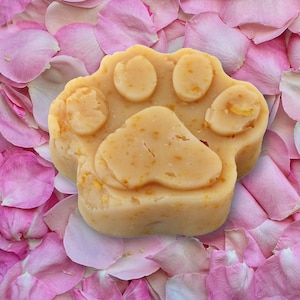 The Mini Paw – Sudsy Paw Soap Bar