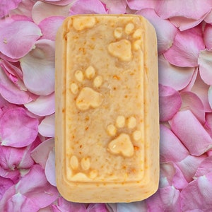 The Original Sudsy Paw Soap Bar