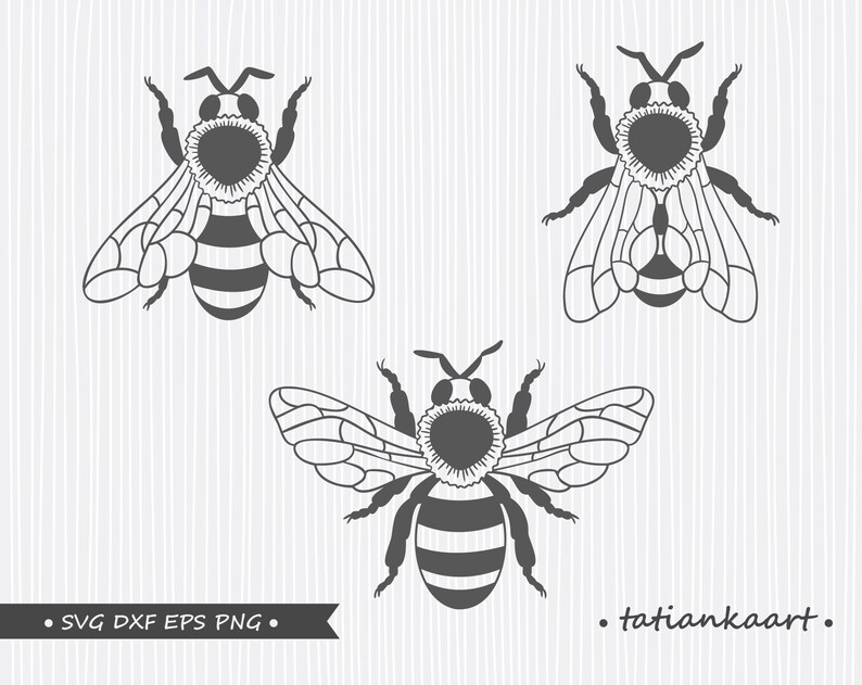 Bee svg Files for cricut Honey Bee svg Bee clipart | Etsy
